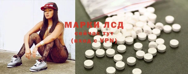 ПСИЛОЦИБИНОВЫЕ ГРИБЫ Аркадак
