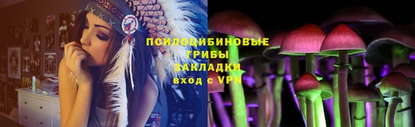 ПСИЛОЦИБИНОВЫЕ ГРИБЫ Аркадак