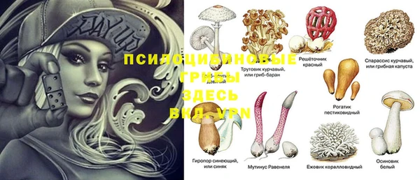 гидропоника Армянск