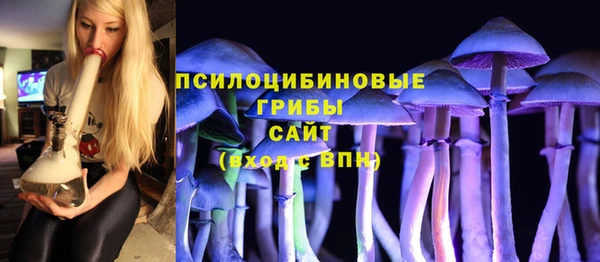 ПСИЛОЦИБИНОВЫЕ ГРИБЫ Аркадак