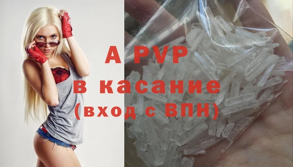 ПСИЛОЦИБИНОВЫЕ ГРИБЫ Аркадак
